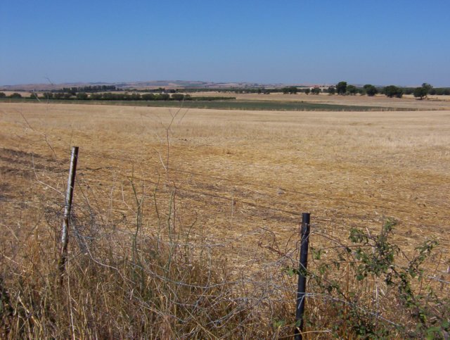 photo1.jpg