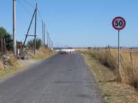 photo3_small.jpg