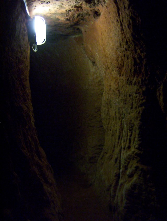 photo46.jpg