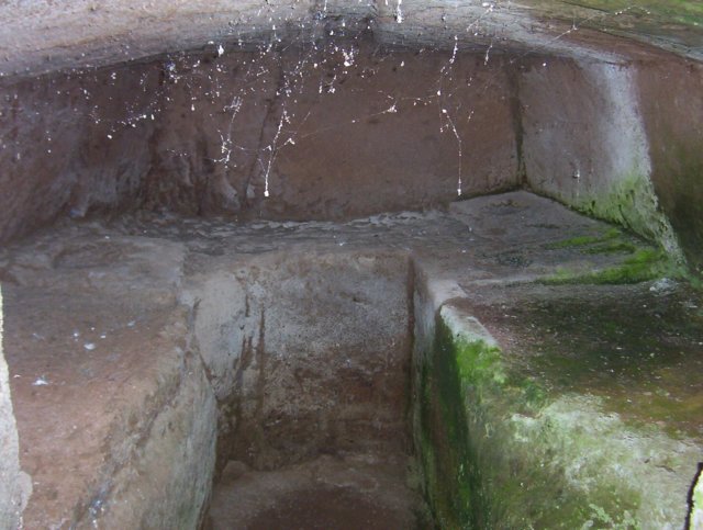 photo48.jpg