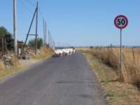 photo4_small.jpg