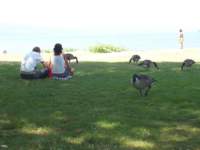 photo55_small.jpg