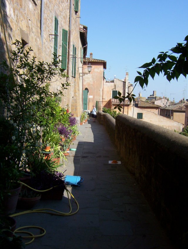 photo63.jpg