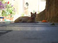 photo64_small.jpg