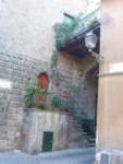 photo74_small.jpg